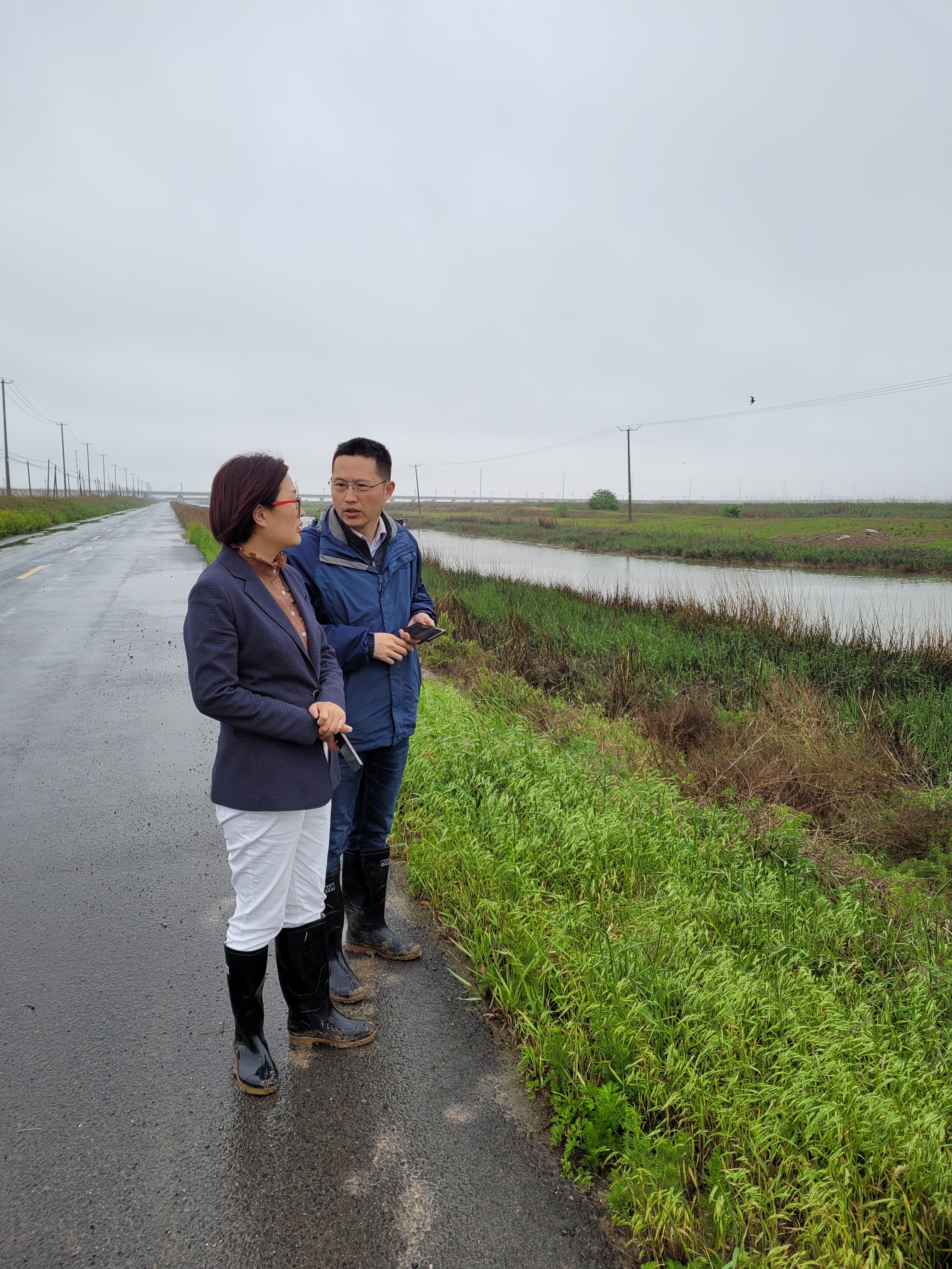 陪同徐圩街道黨工委書記葛苗現場查看水環境問題排查治理情況。.jpg